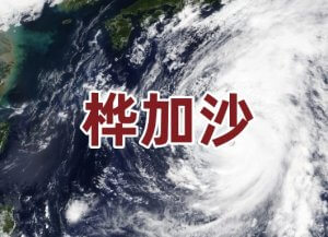 超強臺風“樺加沙”來襲：公共衛生挑戰與分子檢測在災害應對中的關鍵角色